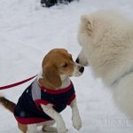 IMG_9141