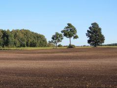 Žemės ūkio naudmenų ir pasėlių deklaravimas – kas keisis?