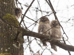 Palikti nereikia padėti!