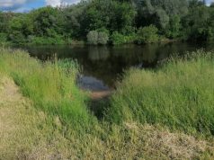 Ukmergės MAUDYKLŲ TYRIMO REZULTATAI