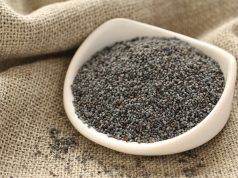 Aguonpienio ledai arba „panna cotta“