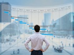 Projektų valdymas programa