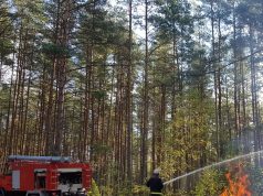 Pavasariniams gaisrams užkardyti – prevenciniai miškininkų reidai