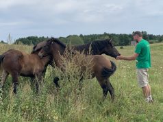 Už nykstančių Lietuvos senųjų veislių gyvūnų išsaugojimą – didesnės išmokos