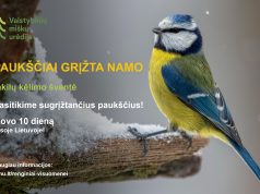 Inkilų kėlimo šventė „Paukščiai grįžta namo“