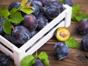 Slyvos – geresniam virškinimui bei savijautai