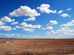 Ką verta žinoti artėjant žemės ūkio naudmenų ir pasėlių deklaravimui?