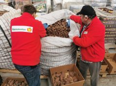 Ūkiuose išgelbėjamo maisto pernai išaugo trečdaliu – „Maisto bankas“ kviečia ūkininkus bendradarbiauti