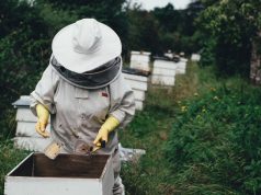 Bitininkams – papildoma galimybė teikti paraiškas