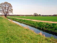 Prižiūrintiems melioracijos griovių šlaitus – tris kartus didesnės kompensacijos