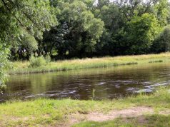 Pakartotiniai rekreacinių zonų vandens tyrimo rezultatai