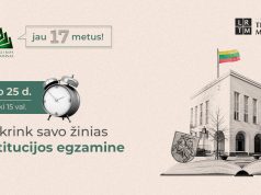 Konstitucijos egzamino komisijos narė: Pamokose svarbu ieškoti Konstitucijos vertybių, to, kas aktualu šiandien