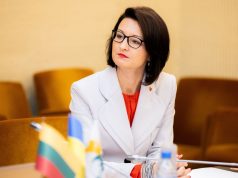 Referendumui dėl pilietybės išsaugojimo artėjant – ką svarbu žinoti?