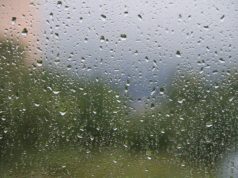 Link Lietuvos artėjant audrai, ESO telkia šimtus darbuotojų elektros tiekimo atstatymo darbams