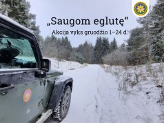 Gruodį vyks tradicinė akcija „Saugom eglutę“