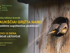 Paukščiai grįžta namo – sparnuotų giesmininkų sutiktuvės visoje Lietuvoje