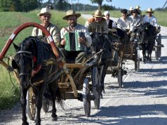 Iš Šilalės į Anykščius riedantys žemaitukų kinkiniai – galimybė prisiliesti prie mūsų istorijos