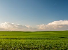 Liepos 1 d. baigiasi šių metų žemės ūkio naudmenų ir pasėlių deklaravimas