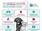 Patarimai, kaip apsaugoti augintinius per karščius