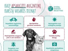 Patarimai, kaip apsaugoti augintinius per karščius