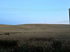 Išmokos ūkininkams dėl audros pasekmių sieks 10 mln. eurų