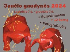 Jaučio gaudynės atidunda!