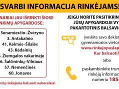 Prasideda II Seimo rinkimų turas: kur ir kada balsuoti?