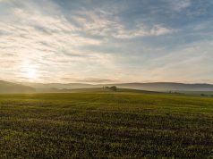Tręšiantiems laukus mėšlu ūkininkams mažėja administracinė našta