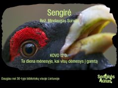 Bibliotekoje startuoja kiną ir aplinkosaugą jungiantis projektas. Pirmasis – kino filmo „Sengirė” seansas