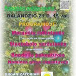 490731913_1008556431402767_9205605064221424519_n