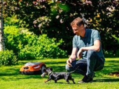 Kad žolė žaliuotų: ekspertas pataria, kaip paruošti veją šį pavasarį