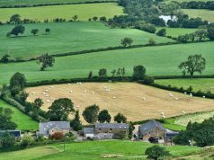 Prasidėjo pasėlių deklaravimas