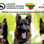 495313995_1476990200408852_4116149451699899148_n