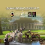 495624081_1122266663279586_8358826848951793141_n