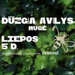 500909827_666998716159986_5644250649868321738_n