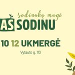 504529287_1048513277378345_5087774226799277831_n