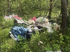 Miškai it sąvartynai: aplinkosaugos dienos proga miškininkai skelbia šokiruojančius skaičius