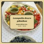 540047151_1177729161051593_3693279565511740172_n