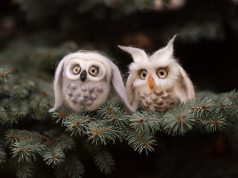 Pirmoji ponia kviečia prisijungti prie kalėdinės akcijos „Sparnuoti išminties, žinių ir kūrybos metai“