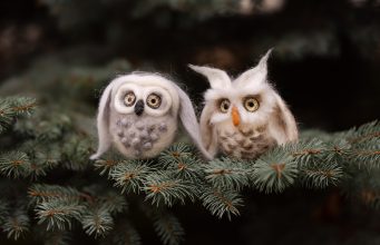 Pirmoji ponia kviečia prisijungti prie kalėdinės akcijos „Sparnuoti išminties, žinių ir kūrybos metai“