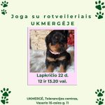 559535792_1307158441076767_662169179028747075_n