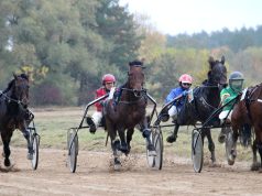 Ukmergės raj. savivaldybės mero taurė iškeliavo į Širvintas