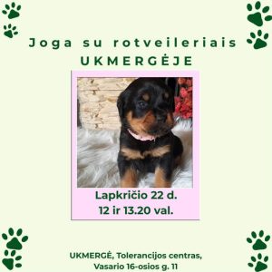 Joga su rotveileriais @ Ukmergės tolerancijos centras