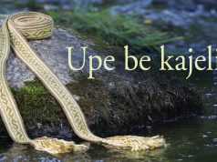 Pirmasis Ukmergės krašto dainynas iš archyvų gelmių