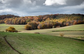Keičiasi draudimo tręšti mėšlu ir ar srutomis laikotarpis