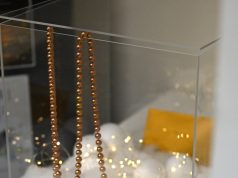 Vlado Šlaito viešojoje bibliotekoje atsidarė Kalėdų paštas!