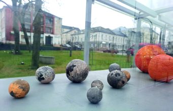 Lauko parodų paviljone atidaryta nauja paroda – „Apelsino žievelė/ Orange Peel”