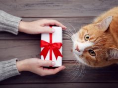 Ką padovanoti gyvūnų mylėtojui ar augintinio šeimininkui?