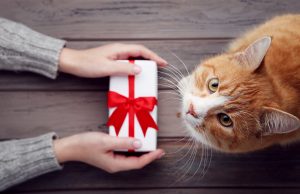 Ką padovanoti gyvūnų mylėtojui ar augintinio šeimininkui?