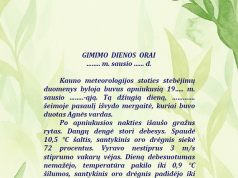 Kviečiame išbandyti hidrometeorologinės informacijos suteikimo savitarnos svetainę paslaugos.meteo.lt